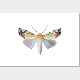 Picasso Moth Digital Painting Posters and Art